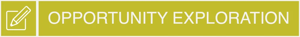 OPPORTUNITY EXPLORATION