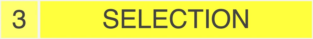 SELECTION